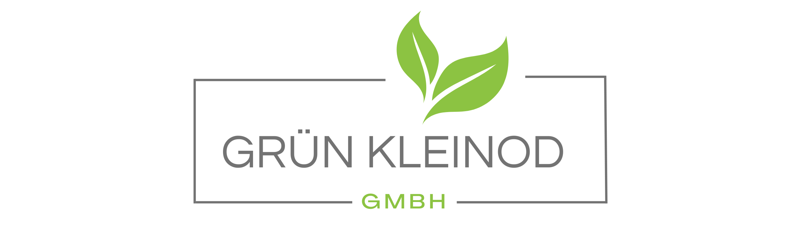 Website.Logo-Bildgröße (1)